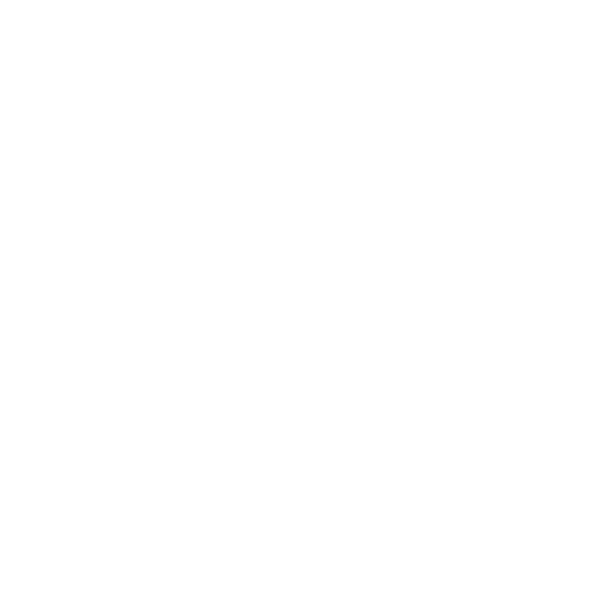 Tiny Tipper & Wheelchair Van Hire